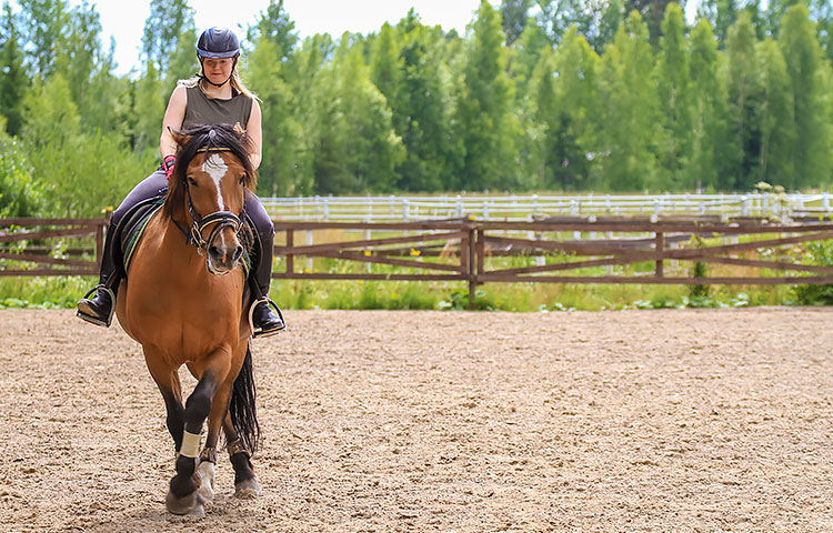 Jenny aloitti ratsastuksen yhdeksänvuotiaana. Sen jälkeen ei hänen elämäänsä paljon muuta enää mahtunutkaan. Hevoset sekä kuntouttavat että tuovat paljon iloa ja jännitystä sekä ystäviä.