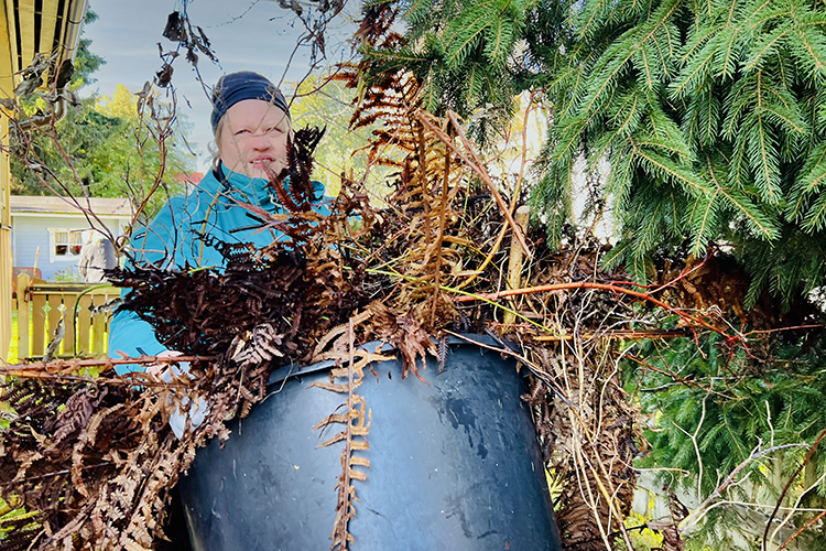 Nainen kantaa puutarhasta kuivia lehtiä saavissa.